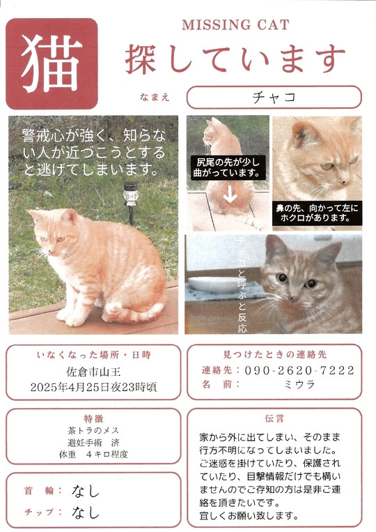 猫山しずく (@nekoyamasizuku) / X
